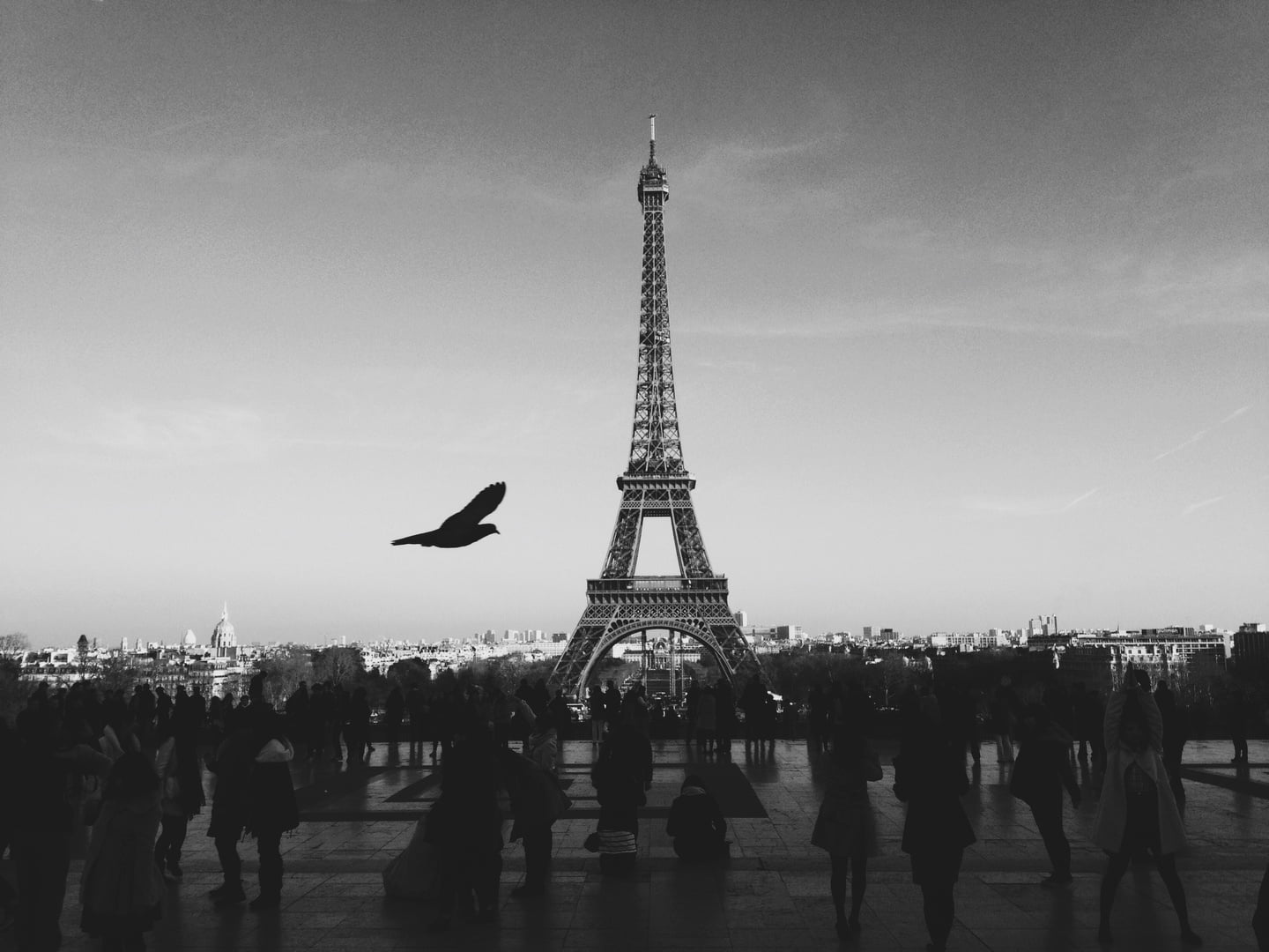 Best places to travel solo: 14 top destinations, per an expert